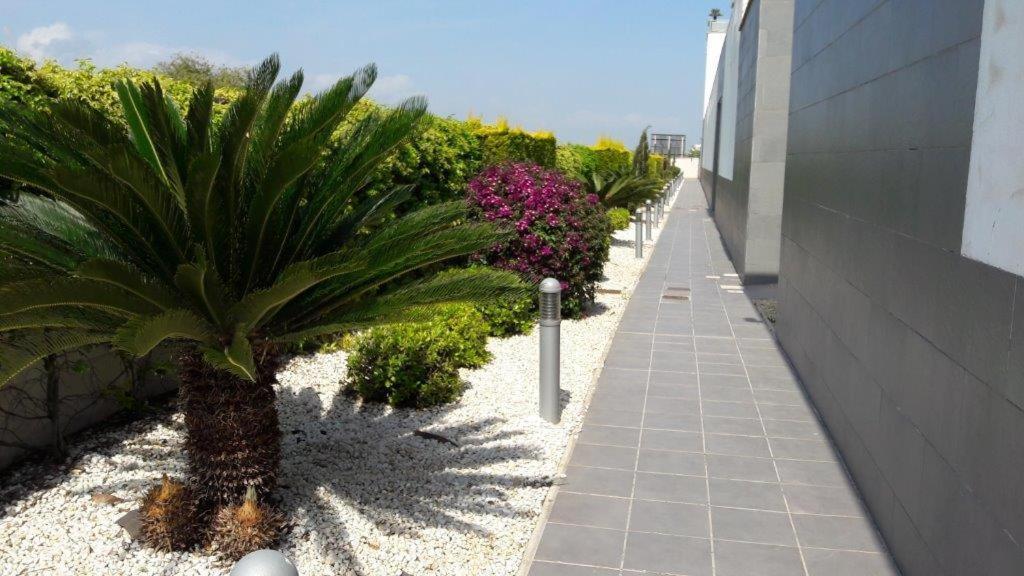 Oliva Nova - Golf&Beach Cabagua ภายนอก รูปภาพ